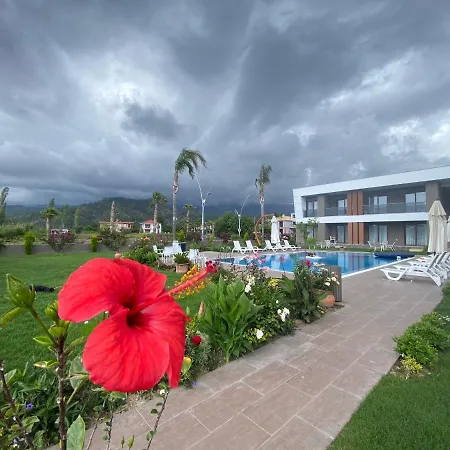 Mandalina Lägenhet Ağva