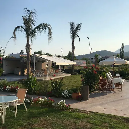 Mandalina Ağva