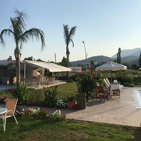 Mandalina * Ağva